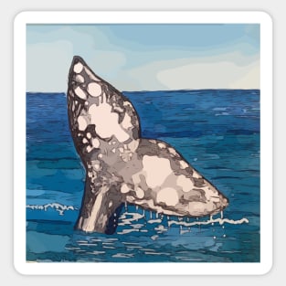 Whale Tail in Baja California Mexico Sticker